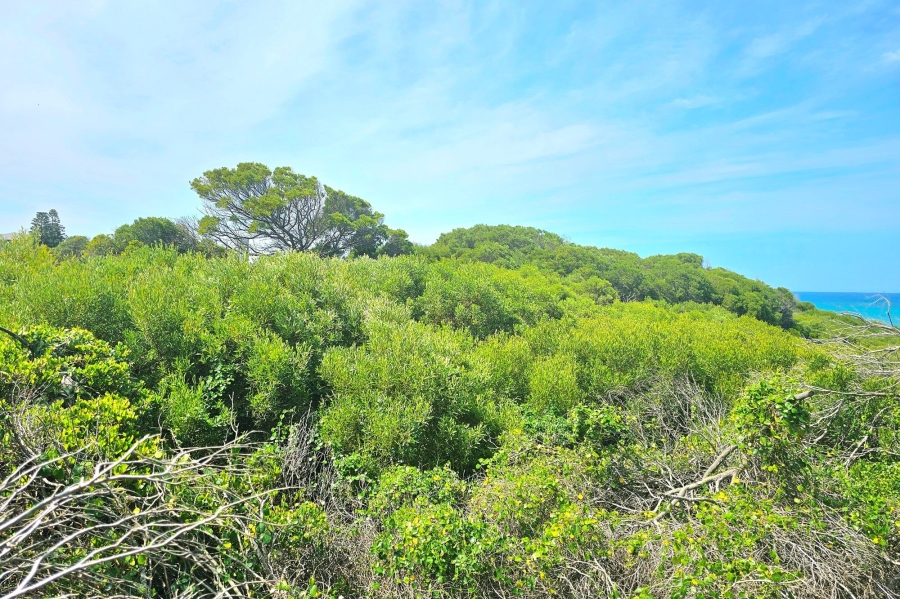 0 Bedroom Property for Sale in Paradise Beach Eastern Cape